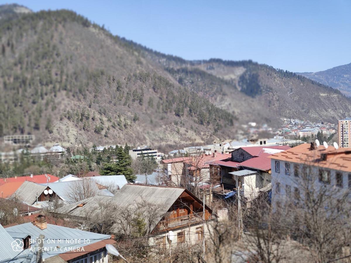 Borjomi Sichi Hotel Екстериор снимка