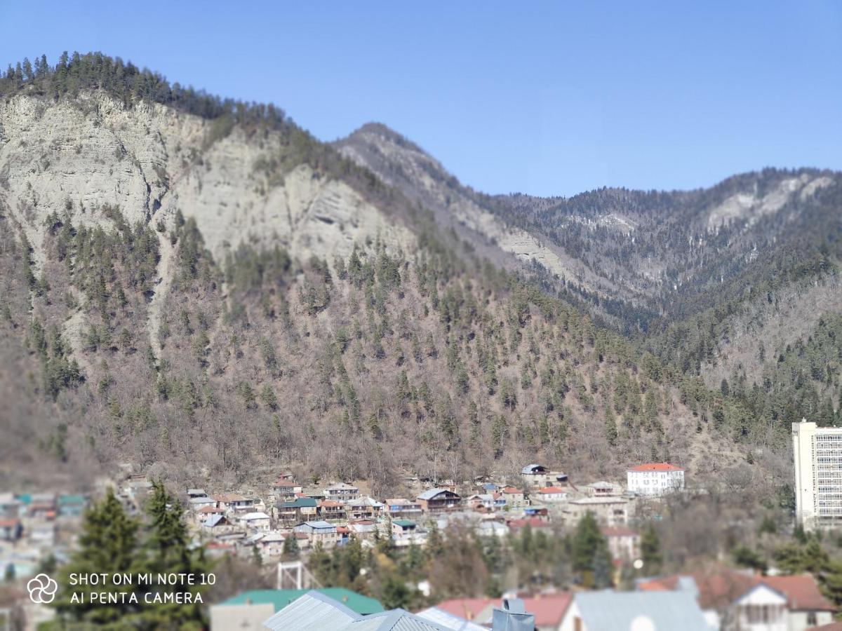 Borjomi Sichi Hotel Екстериор снимка
